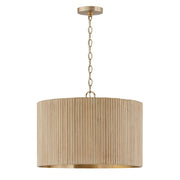 Donovan 3 Light Pendant (2 Finishes)